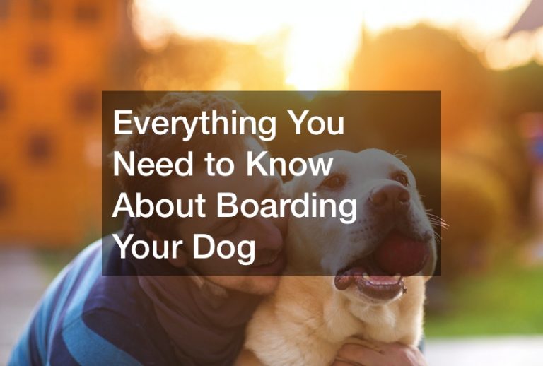 Everything You Need to Know About Boarding Your Dog Pet Veterinarians