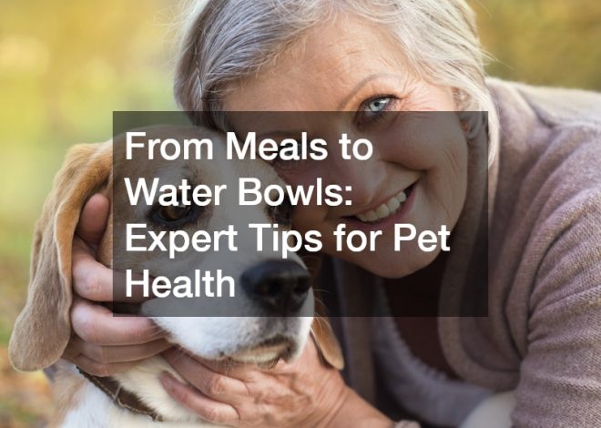 From Meals to Water Bowls  Expert Tips for Pet Health