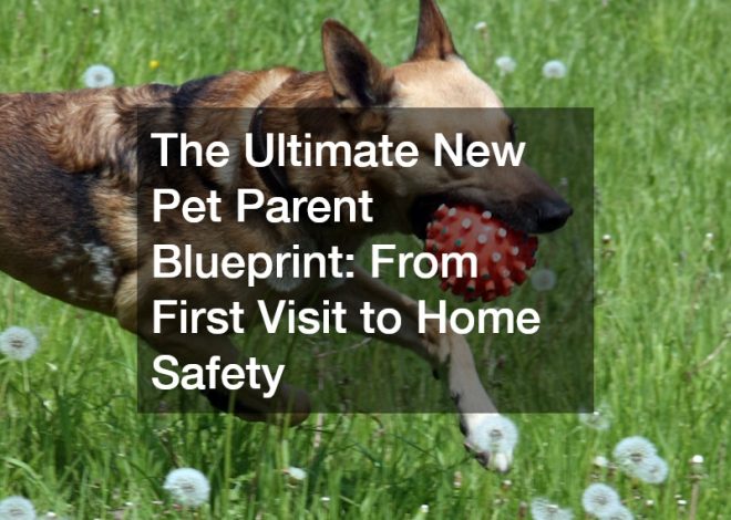The Ultimate New Pet Parent Blueprint  From First Visit to Home Safety