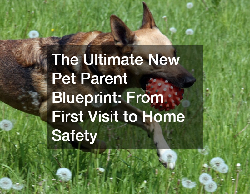The Ultimate New Pet Parent Blueprint  From First Visit to Home Safety