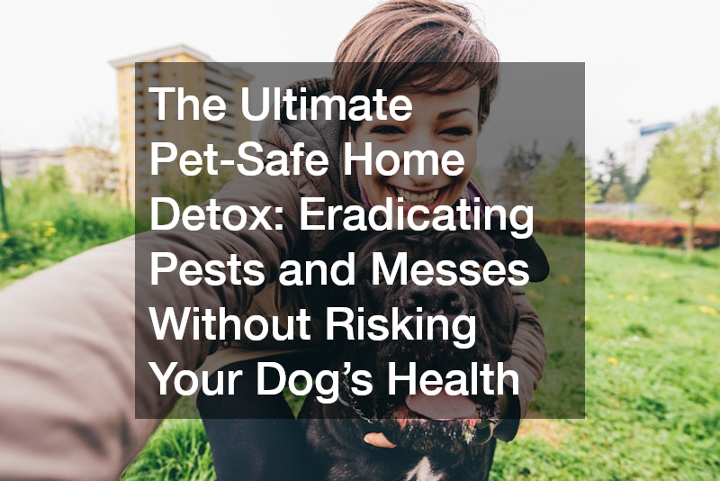 The Ultimate Pet-Safe Home Detox  Eradicating Pests and Messes Without Risking Your Dog’s Health