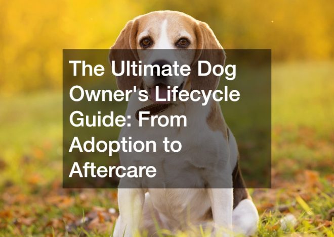 The Ultimate Dog Owners Lifecycle Guide  From Adoption to Aftercare