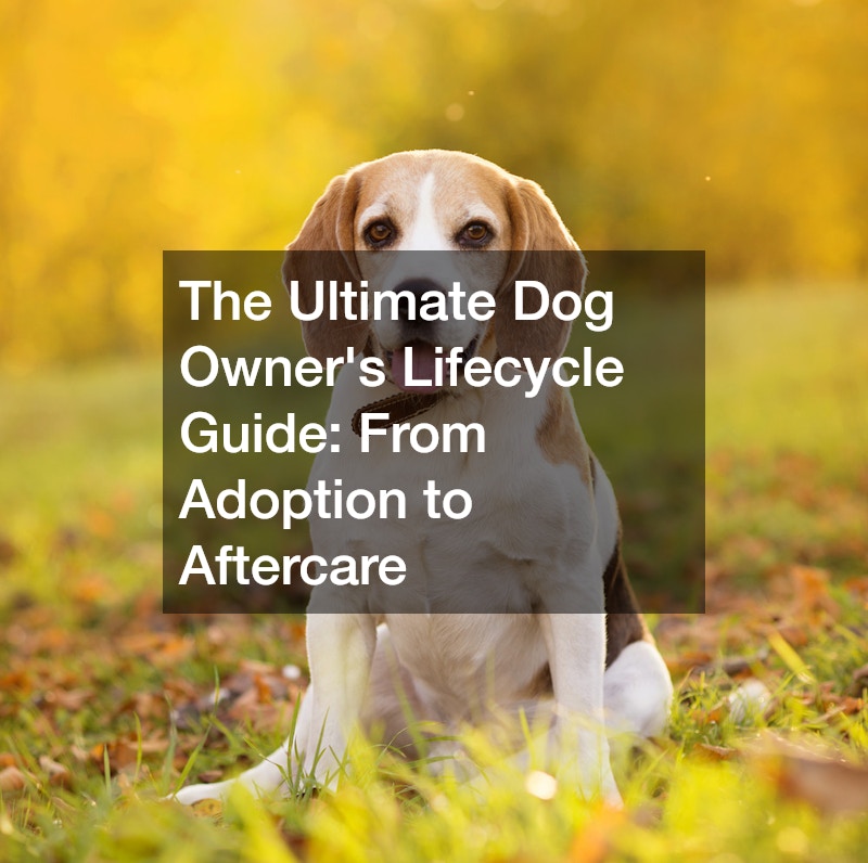The Ultimate Dog Owners Lifecycle Guide  From Adoption to Aftercare