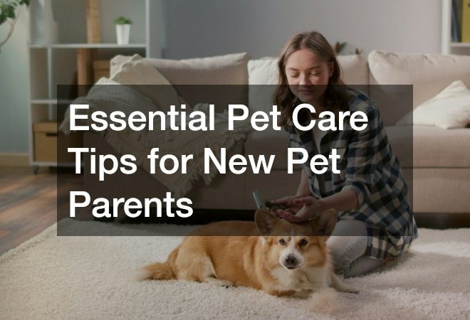Essential Pet Care Tips for New Pet Parents