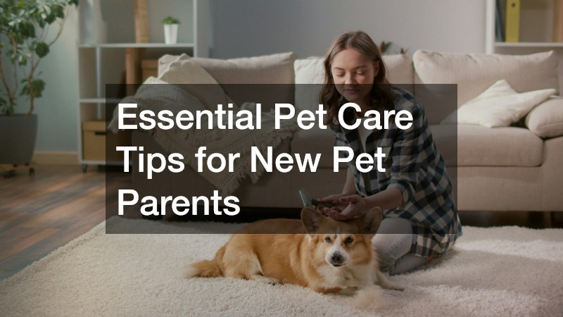Essential Pet Care Tips for New Pet Parents