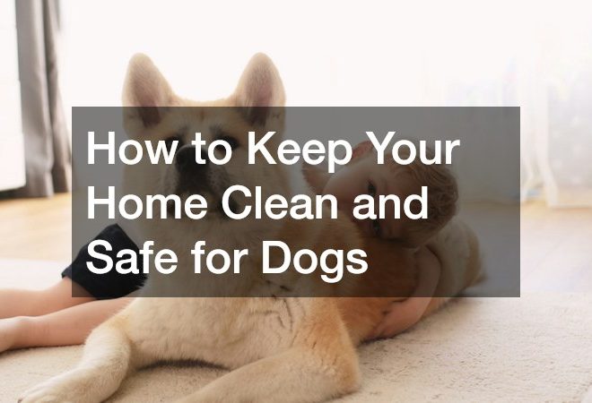 How to Keep Your Home Clean and Safe for Dogs