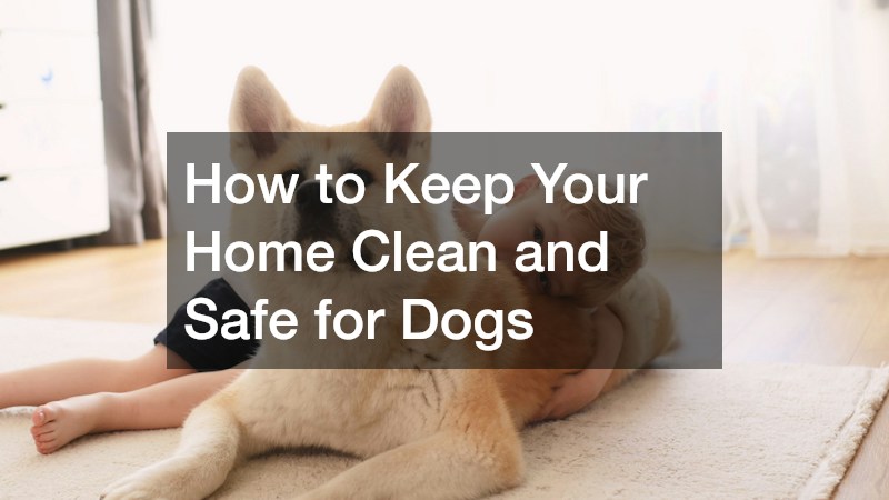 How to Keep Your Home Clean and Safe for Dogs